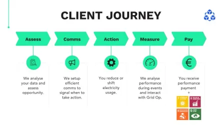 Client Case Study: Flexibility Service Provided to ESB Networks