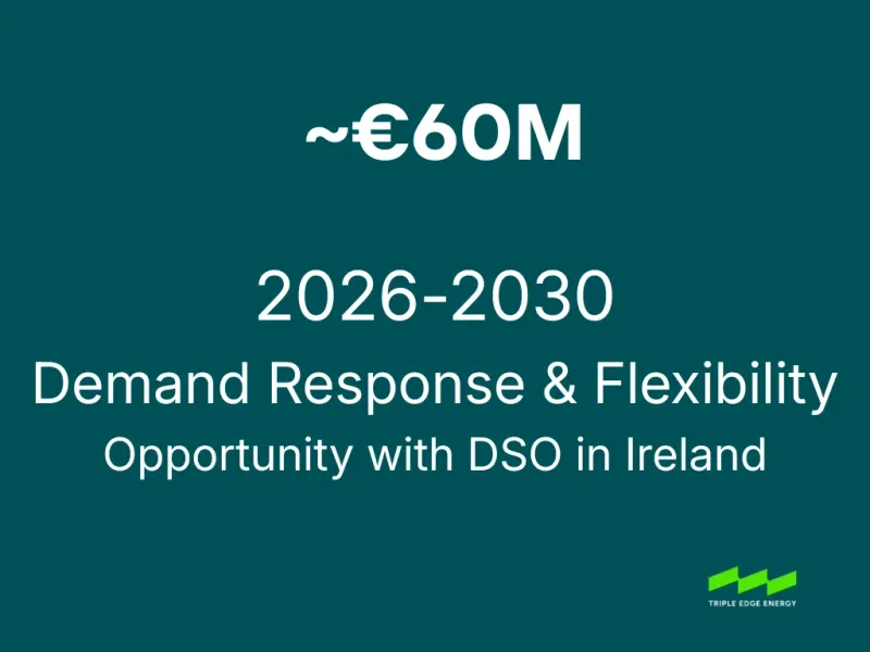 PR6's Flexibility Mechanism: What the €13.8 Billion Grid Investment Actually Means for Demand Flexibility